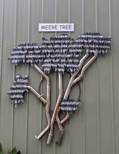 Drouin Mens Shed meere tree