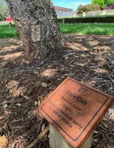 Cork Oak tree plaque